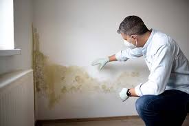 Best Attic Mold Removal  in Franklin Center, NJ